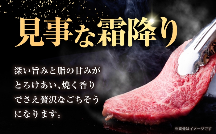 A5ランク 赤身ステーキ 黒毛和牛 ステーキ肉 佐賀牛 贈答用  ローストビーフ