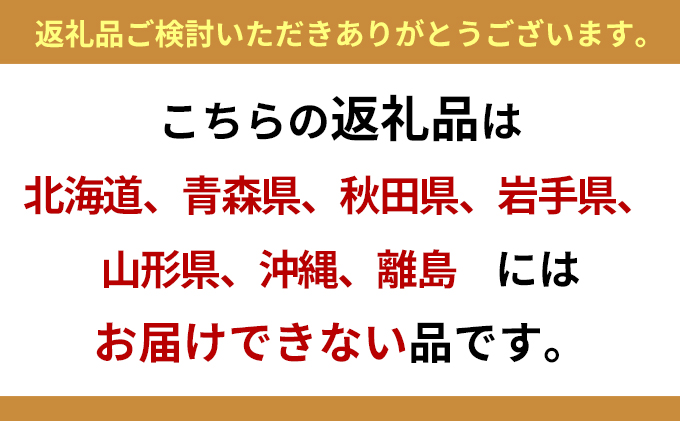 希少種！長物4種4匹セット
