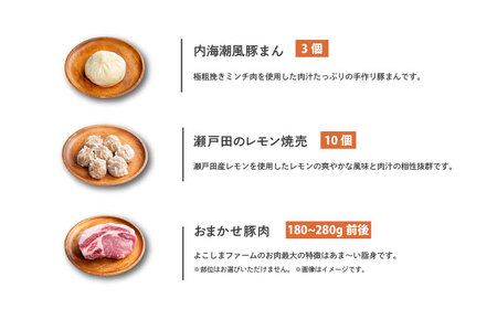 惣菜 豚まん・瀬戸田のレモン焼売・おまかせ豚肉セット 各1パック（180g～280g） 惣菜 詰め合わせ 豚まん シュウマイ 産地直送 肉 お肉 にく 食品 ギフト セット 広島県福山市/株式会社横島