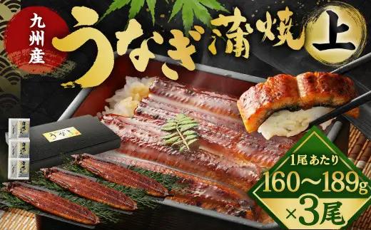 九州産 うなぎ 蒲焼 上 3尾 (1尾あたり160～189g)【2026年9月発送】