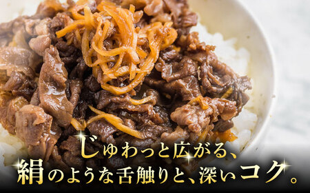 A5等級 飛騨牛 こま切れ 500g (250g×2P) 瑞浪市 / マルチョウ渡辺精肉店 牛肉 和牛 国産 ギフト お取り寄せ[AZCW003]