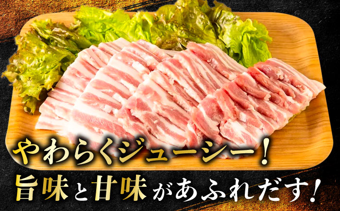 一貴山豚 焼肉用バラ肉 計500g(250g×2p) 糸島市 / いきさん牧場 豚肉 冷凍 [AGB034]