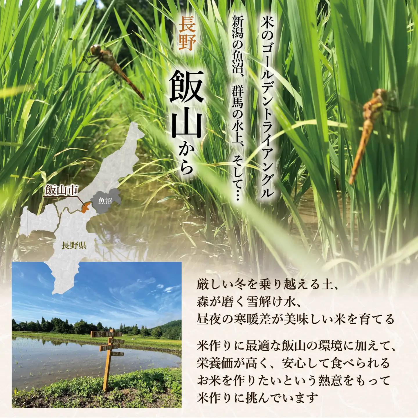 【新米予約】＼ 2026年11月より10kg 6回 ／ 極上のコシヒカリ 七〇八米（なおやまい）【黒】