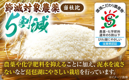 無洗米 コシヒカリ 5kg [AQDK003] 無洗米