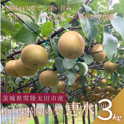 【数量限定!】桧山果樹園の茨城県ブランド梨　恵水3kg【配送不可地域：離島・沖縄県】