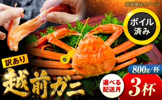 【先行予約/2月配送】訳アリ 脚折れあり 越前がに 800ｇ×3ハイ 小浜市 / まるほ商店【配送不可地域：北海道・沖縄・離島】 [BFCS070]