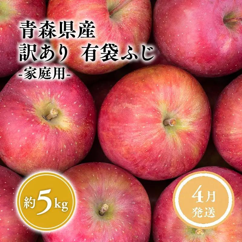 りんご 有袋ふじ 家庭用 約5kg【hi-0059-009-4】