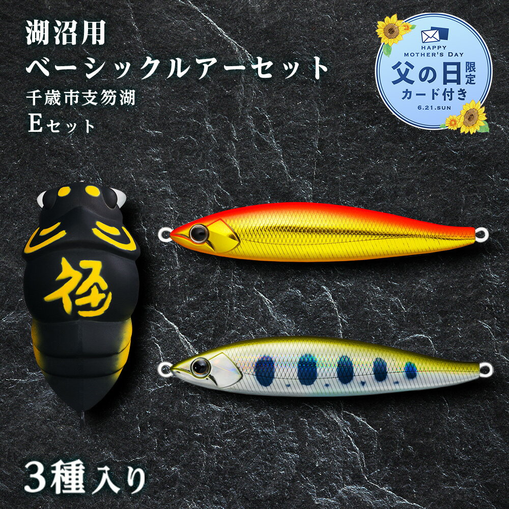【ふるさと納税】【父の日フェア 6/10入金分まで】千歳市支笏湖Eセット（湖沼用ベーシックルアーセット）ルアー 釣り具 スポーツ 釣り 北海道ふるさと納税 ふるさと納税 北海道 千歳市 【北海道千歳市】ギフト ふるさと納税