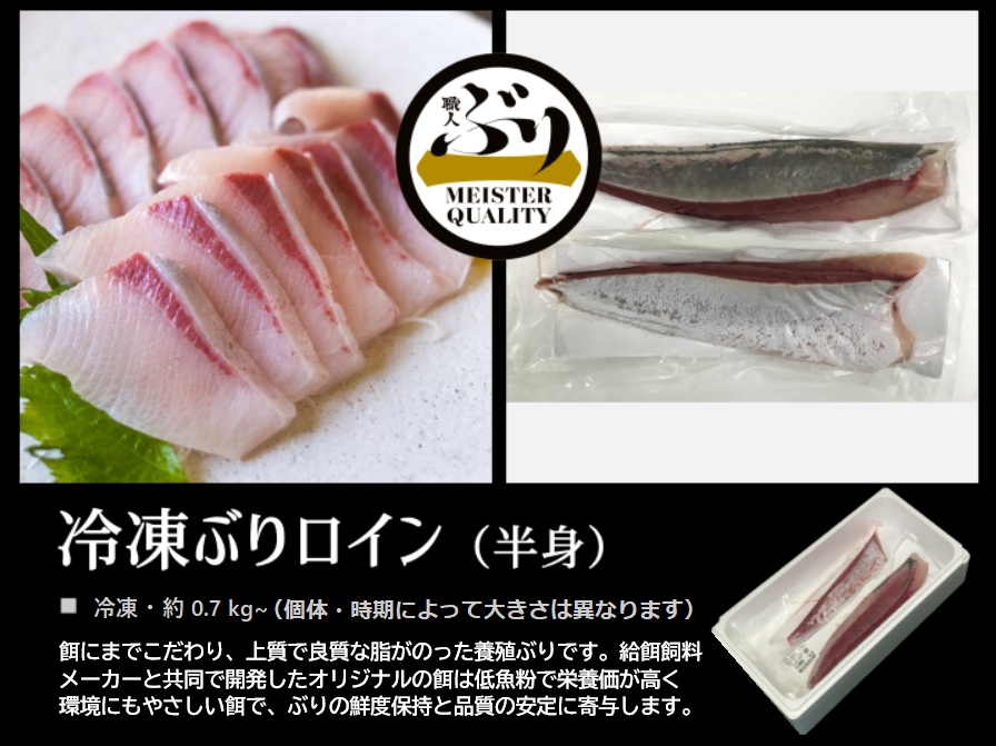 B2-4766／【鹿児島産ぶり】冷凍・ぶり皮無ロイン（背腹計2ｐ）