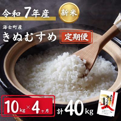 ふるさと納税 海士町 【定期便4ヵ月】計40kg!令和7年度新米きぬむすめ 10kg×4か月定期便 お米 新米 精米 白米