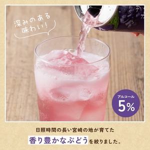 サンA乾杯果汁ぶどう酎ハイ　350ml缶×24本×2ケース 【 飲料 酎ハイ お酒 ぶどう 宮崎県産 】