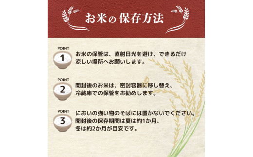 令和8年産 コシヒカリ 新潟 10kg×8か月 坂井ファーム 特別栽培米コシヒカリ 米 お米 定期便 10kg 5kg×2袋 80kg 8か月 新潟 新発田 コシヒカリ seidaSK008