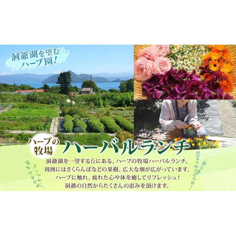 北海道 モヒート ソーダ 作り 体験 ハーブ ミント サイダー ノンアルコール ノンアル オリジナル  天然  リラックス 癒し リラクゼーション 健康 ハーバルランチ 送料無料 洞爺湖_イメージ5