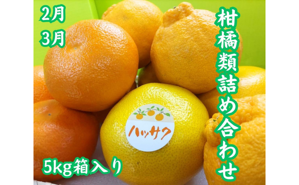 【全6回】坂出　冬・夏　美味しい果物定期便