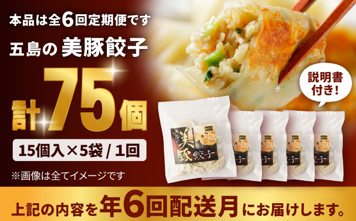 【全6回定期便】美豚餃子15個入×3袋セット【長崎フードサービス】 [PEL009]