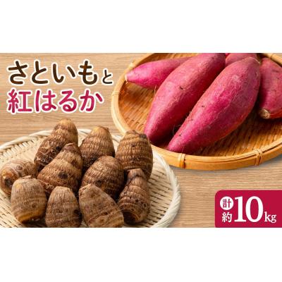 ふるさと納税 境港市 <先行予約受付中!10月上旬〜2月下旬発送予定>さといもと紅はるかのセット(約10kg)