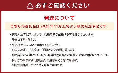 白鷹町産りんご （高徳） 3kg りんご 林檎 果物 くだもの フルーツ 旬 高徳 国産 山形県 白鷹町 【2025年11月上旬～11月下旬発送予定】