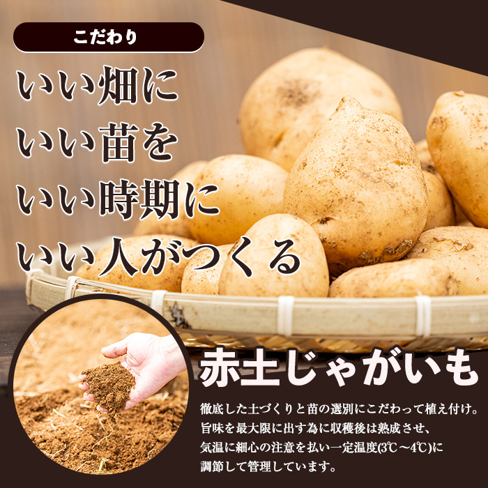 和喜雄さんといつみさんの熟成じゃがいも5kg【飯尾和喜雄農園】iio-1015