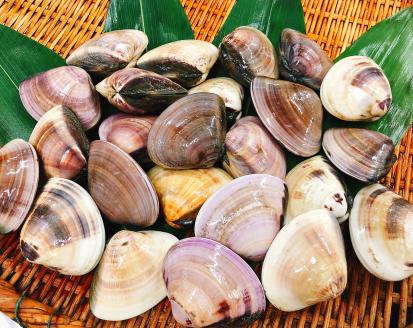 KBL-5　鹿島灘特産★ブランド地はまぐり（特盛2kg） BBQ 　貝類　はまぐり 鹿嶋灘 鹿嶋市 茨城県 送料無料