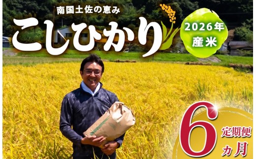 R8 新米 コシヒカリ 5kg 定期便 6ヶ月 8月下旬から発送 新米 産地直送 高知県産 白米 精米 こしひかり 米 常温 配送 ブランド米 国産 はくまい 白 玄米 米 こめ おこめ 早場米 産地 直送 にんき ブランド 人気 おすすめ 魚 と 米 肉 と 米 天然 恵み 心 一人暮らし 家族用 家族向け 送料無料 送料 高知県 須崎市 SI005