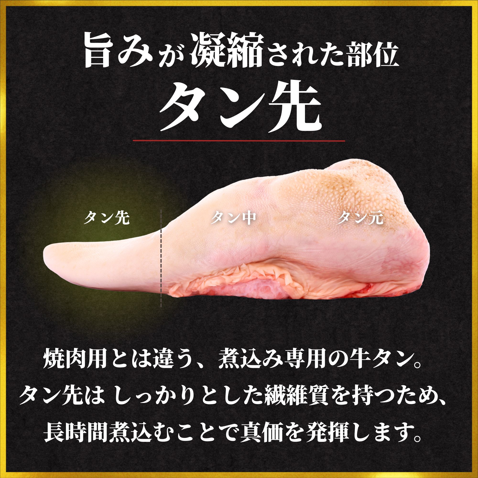 国産牛タン タン先 超極厚1.5cm 煮込み用 500g 厚切り 牛タンシチュー | 牛タン タンシチュー 煮込み 選べる量 真空パック 小分け 冷凍 国産牛 牛肉