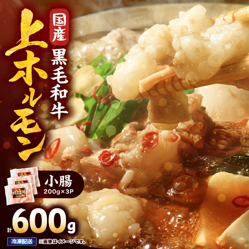 【ふるさと納税】 【選べる】 国産黒毛和牛上ホルモン(小腸)　600g～2kg 国産 鹿児島県産 牛 牛肉 ホルモン もつ鍋 焼肉 串焼き 冷凍 真空 小分け 選べる【カミチク】