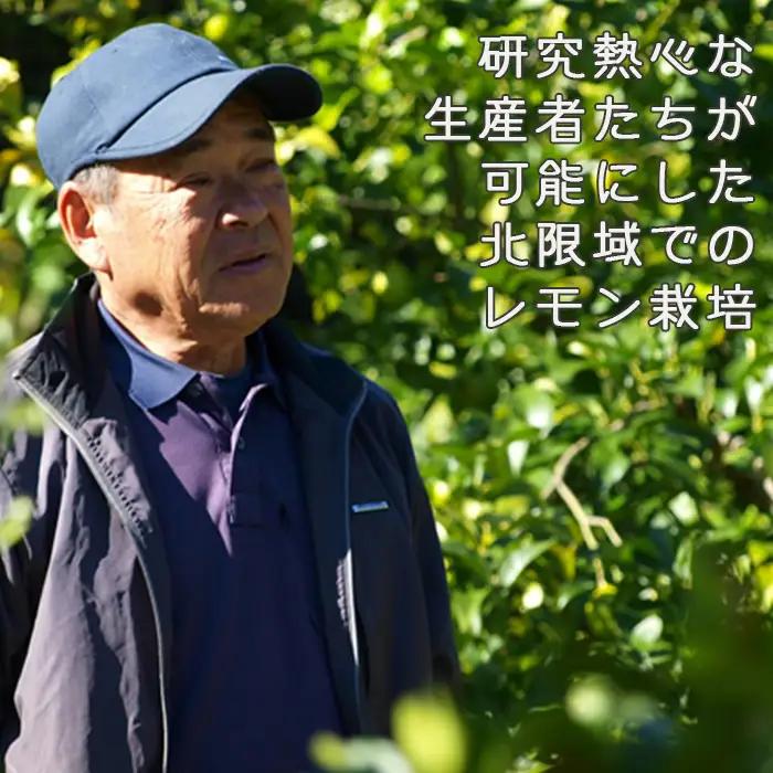 《12月発送》【皮まで食べられる】海と太陽のレモン【秀品】３kg（約25個） [0011-0057]