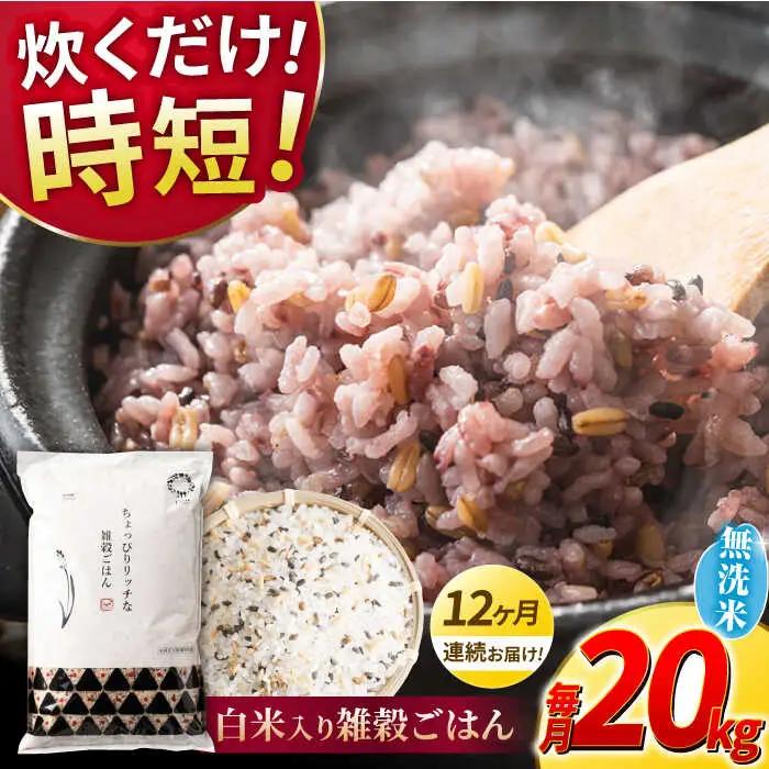 〈令和8年産米〉 【全12回定期便】 水研ぎ不要 雑穀ごはん 無洗米 20kg 【株式会社 農産ベストパートナー】 令和8年産 [ZBP156]