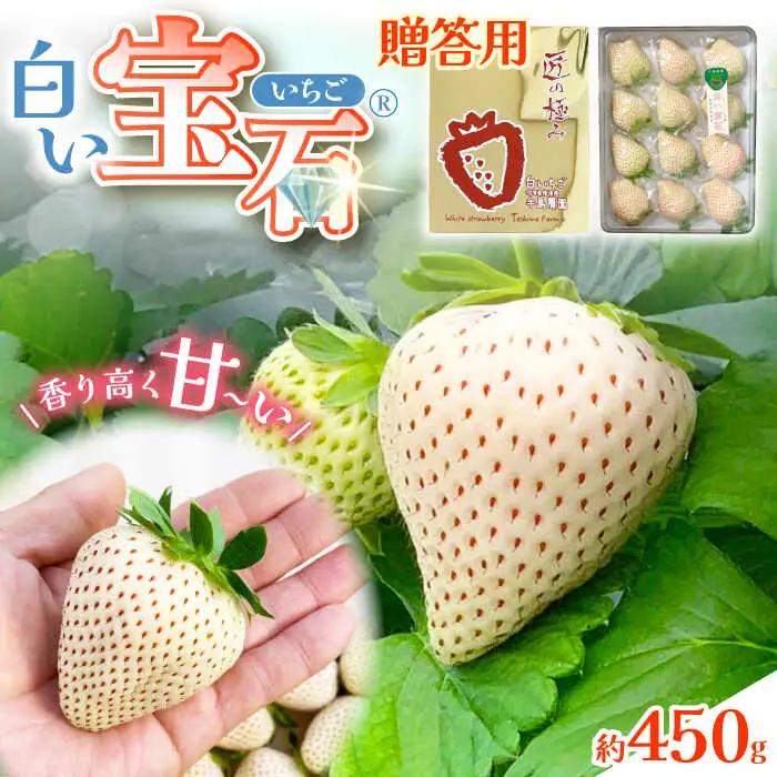 【2027年1月以降順次発送】白い宝石（贈答用）約450g / いちご / 佐賀県 / 手島農園 [41ABAB005]