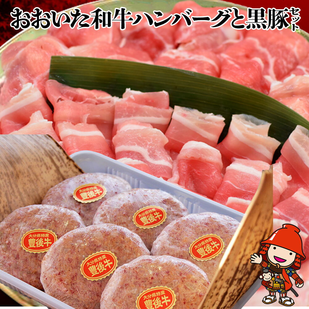 【ふるさと納税】 おおいた和牛ハンバーグと黒豚セット | 【冷凍便】 牛肉 豊後牛 ハンバーグ おかず 惣菜 豚肉 お肉 黒豚 大分県産 九州産 中津市 国産 送料無料