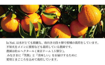 la Nui. 早摘み不知火酒 500ml クラフトサケ 10本