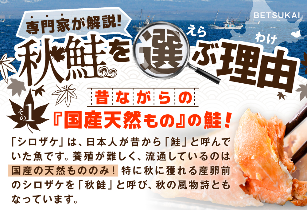 「秋鮭の切り身」18切れ( 秋鮭 3切入×6P) 便利な 小分け パック ( ふるさと納税 鮭 切り身 訳あり 北海道 甘塩 秋鮭 さけ サケ )【NK000N180】