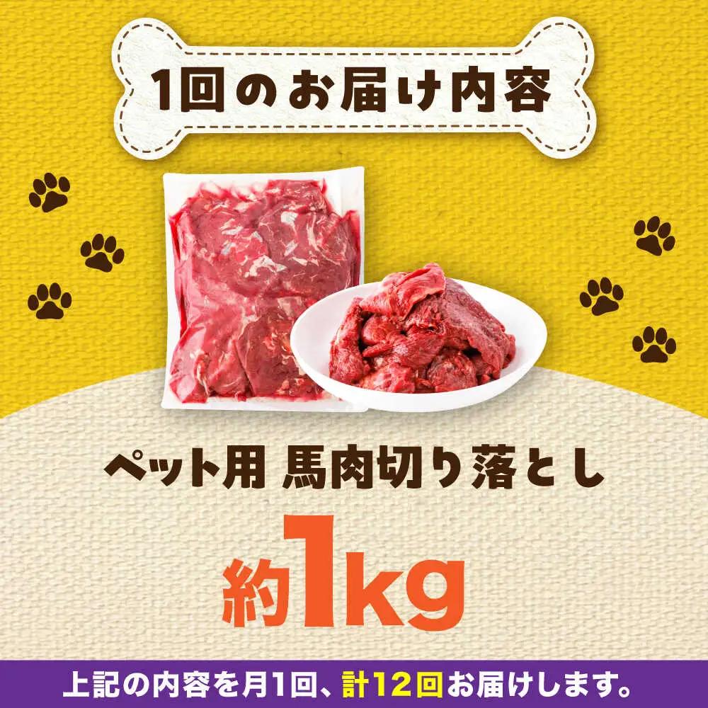 【全12回定期便】国内加工 ペット用 馬肉 切り落とし 約1kg ペット用 BHCY056