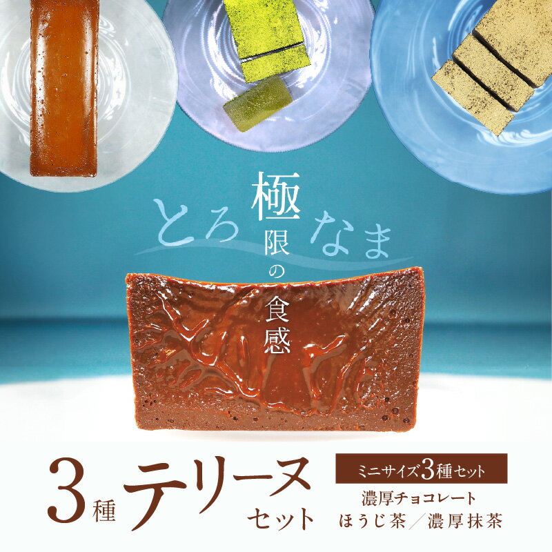 【ふるさと納税】ミニサイズ 濃厚 抹茶 チョコレート ほうじ茶 3種 テリーヌ セット グルテンフリー 保存料不使用 ホワイトチョコ スイーツ デザート おやつ なめらか 冷凍 国産 専門店 人気 安心 安全 フレンチシェフ 愛知県 碧南市 お取り寄せ お取り寄せスイーツ 送料無料