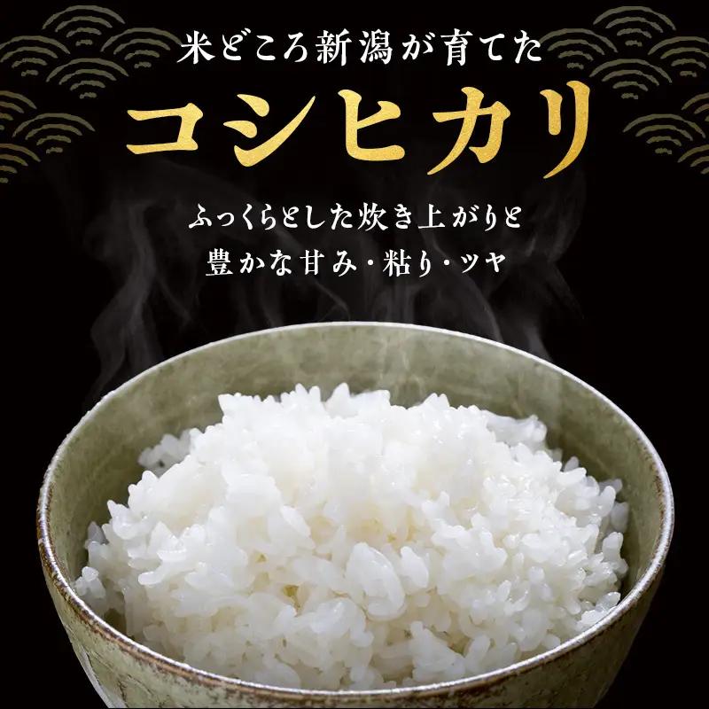 【先行予約】R8年産 新潟県産 コシヒカリ  4kg 3か月定期便 新潟県 新潟市産 令和8年産 お米 精米 米 ご飯 送料無料