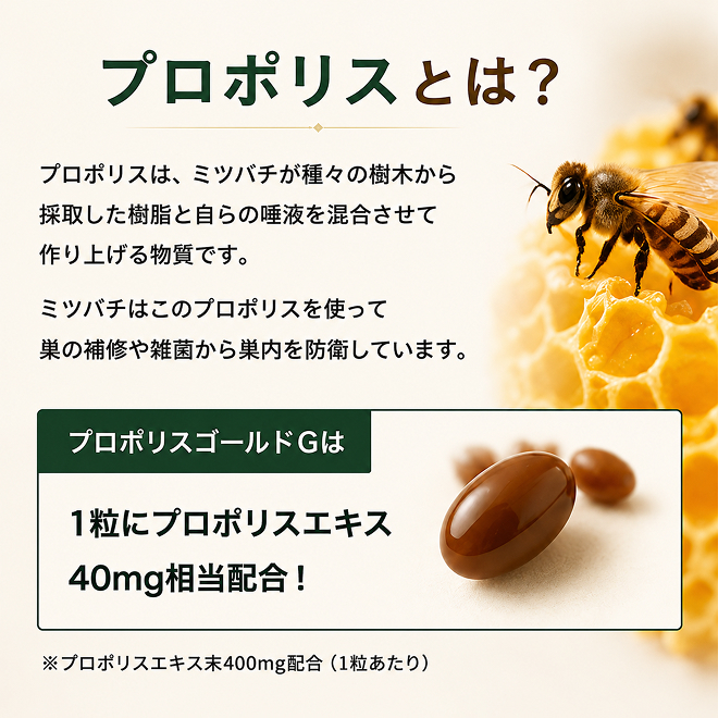 プロポリスゴールド6本セット 加工食品 _イメージ2