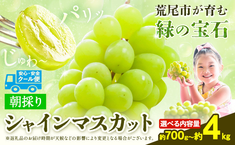 
            【先行予約】 シャインマスカット 朝採り シャインマスカット 選べる 700g 1.2kg 2kg 3kg 4kg マスカット 前田果樹園《8月下旬-9月末頃出荷》熊本県 荒尾市 旬 果物 フルーツ デザート ふるーつ ますかっと しゃいんますかっと
          
