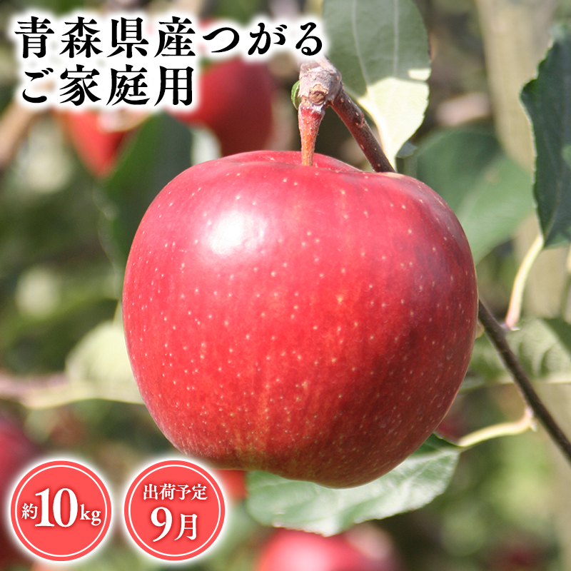 9月発送　【訳あり】家庭用つがる10ｋｇ　【そと川りんご園・9月・青森県産・平川市・りんご・つがる・10ｋｇ・訳あり・家庭用】