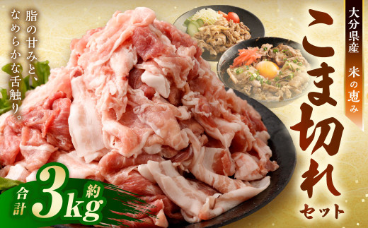 大容量 こま切れ 約3kg （約200g×15パック）セット 大分県産豚肉【米の恵み】 小間切れ 肉