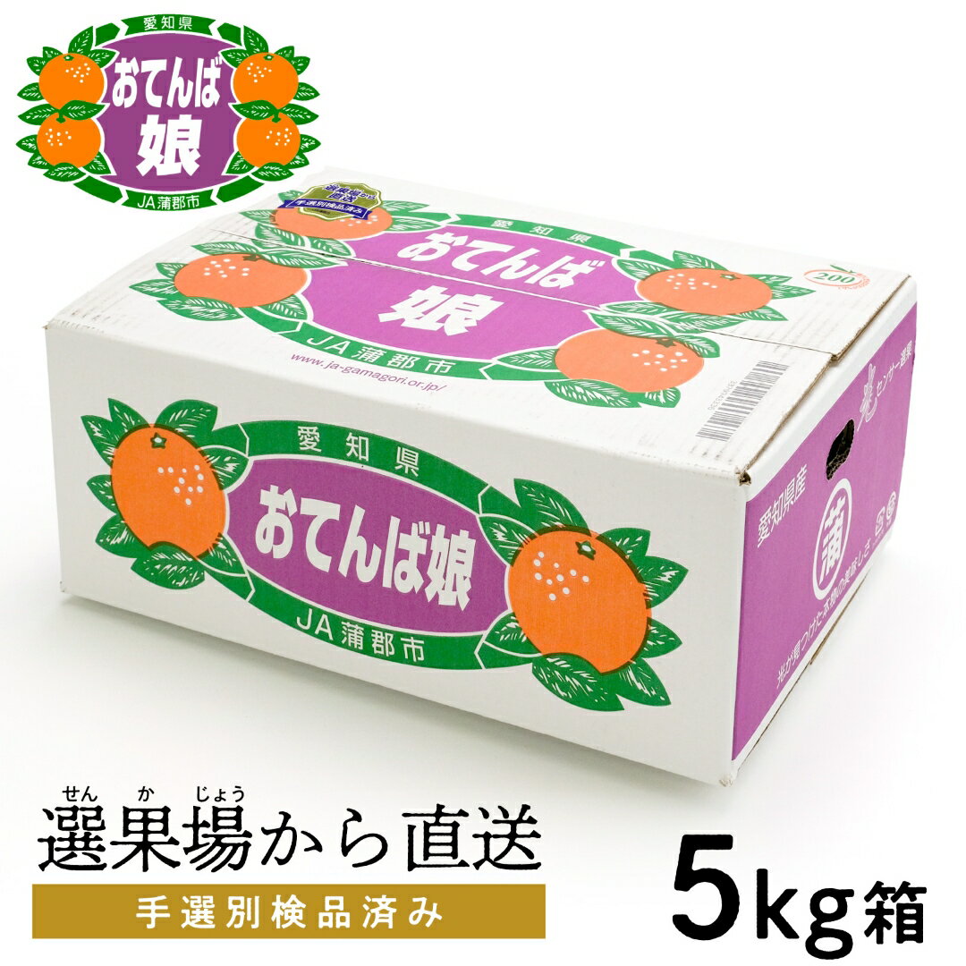 【ふるさと納税】G0190【期間限定】蒲郡みかん「おてんば娘」約5kg ミカン