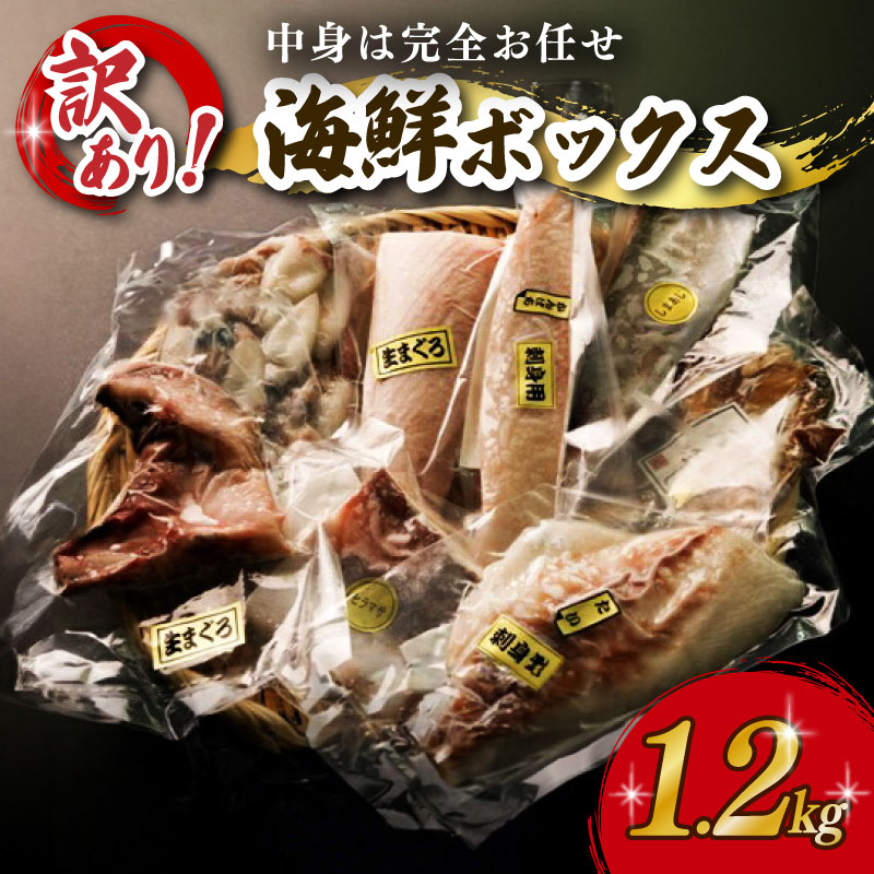 【ふるさと納税】 海鮮 ボックス 1.2kg セット 冷凍 真空パック おまかせ マグロ まぐろ 鮪 生まぐろ 鯛 たい かんぱち 勘八 シマアジ ヒラマサ 平昌 新鮮 魚 魚介 海鮮 海産物 海 特産品 海の幸 産地直送 国産 三重県 南伊勢 伊勢 志摩 城水産 10000円 一万円