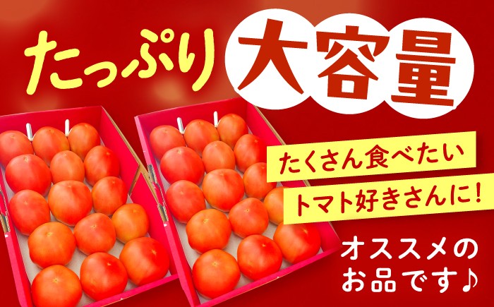 訳あり トマト とまと 大玉トマト ミニトマト 詰め合わせ お取り寄せ 産地直送 とまと トマト 野菜 やさい