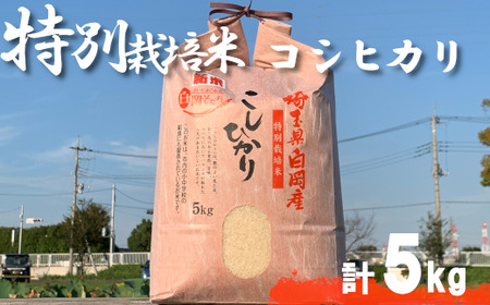 ＜令和7年産＞特別栽培米　コシヒカリ　5kg　【11246-0108】