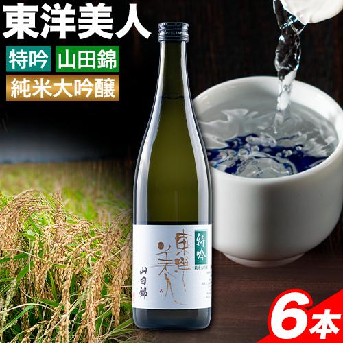 日本酒 新酒 東洋美人 特吟 山田錦 純米大吟醸 6本 計4320ml 1本あたり 720ml 福岡吟醸倶楽部株式会社《30日以内に出荷予定(土日祝除く)》福岡県 鞍手郡 鞍手町 酒 冷酒 送料無料