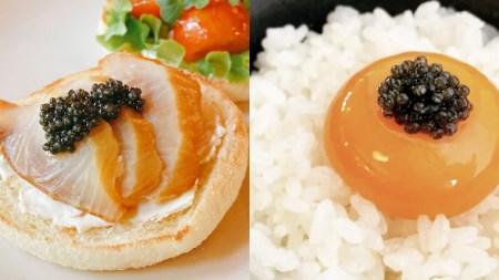 【2023年11月中旬発送開始】 つくばスタージョン キャビア 20ｇ×1 キャビア 高級食材 記念日 誕生日 世界三大珍味 国産キャビア 茨城県産 茨城 [AI005sa]