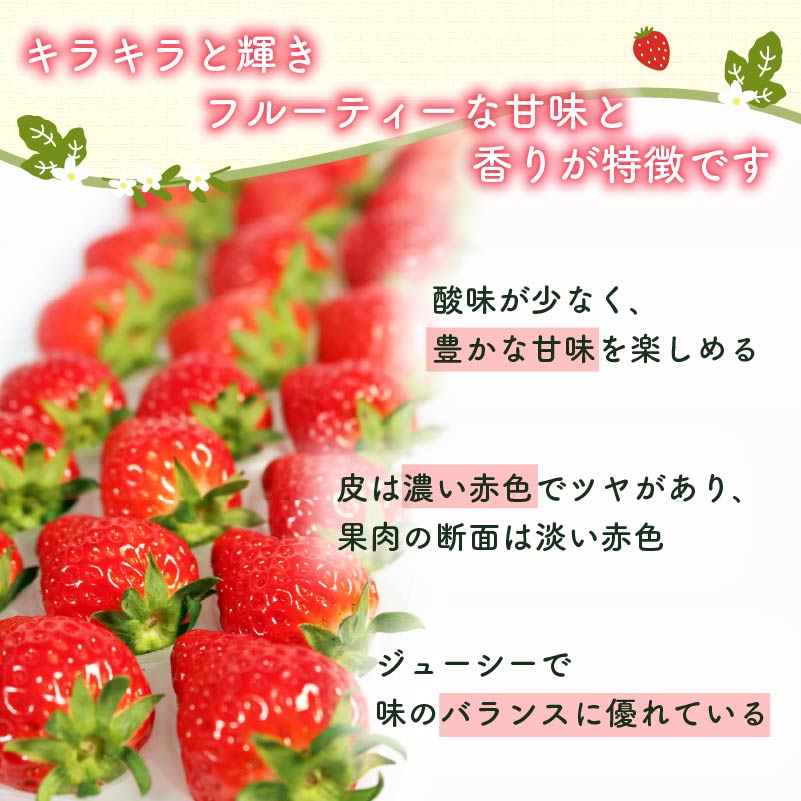 【先行予約 : 2026年1月～発送予定】 【全3回定期便】 いちご きらぴ香 約1kg 約250g×4パック （1月、2月、3月発送） 朝どれ 完熟 苺 産地 直送 フレッシュ イチゴ 贈答 フルー