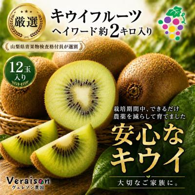ふるさと納税 山梨市 キウイフルーツ(ヘイワード)約2kg