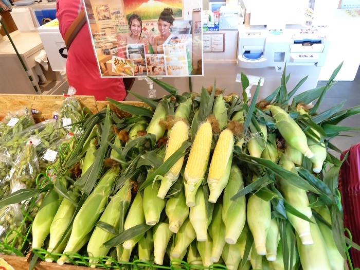 野市里からの贈り物（旬の野菜、加工品約10～14種類程度）【弘前・岩木山麓産】