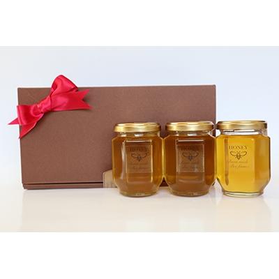 ふるさと納税 宮崎市 2025年産【希少!宮崎産非加熱ハチミツ】3本セット　ブォンミエーレ春のはちみつ160g×3 |  | 01