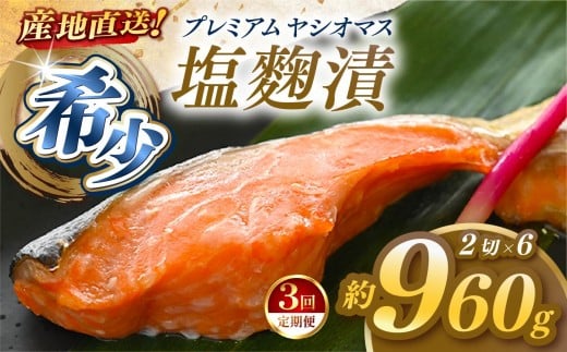 【定期便3回】「プレミアムヤシオマス」の塩麹漬 2切入×6パック  [ 冷凍便 ] | 魚 ます 養殖 産地直送 栃木県 (毎月お届け）